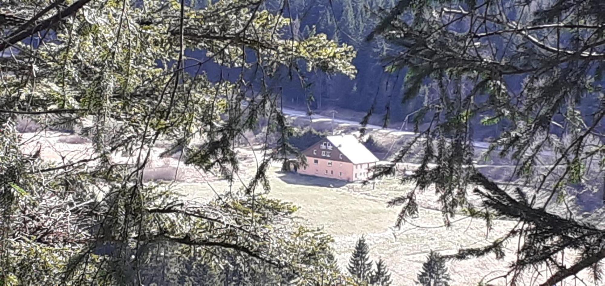 Domaine Des Hauts Viaux La Bresse Εξωτερικό φωτογραφία