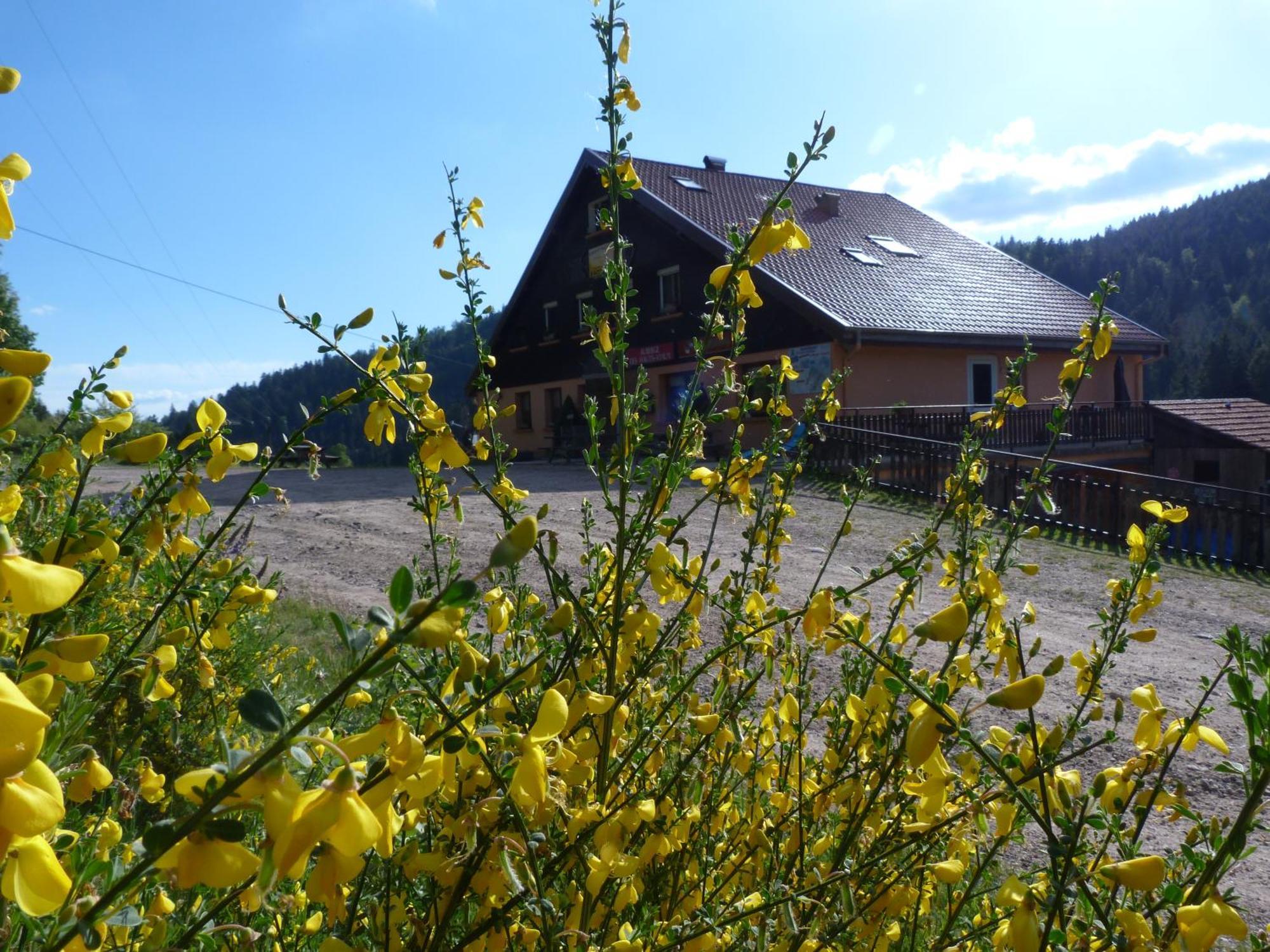 Domaine Des Hauts Viaux La Bresse Εξωτερικό φωτογραφία