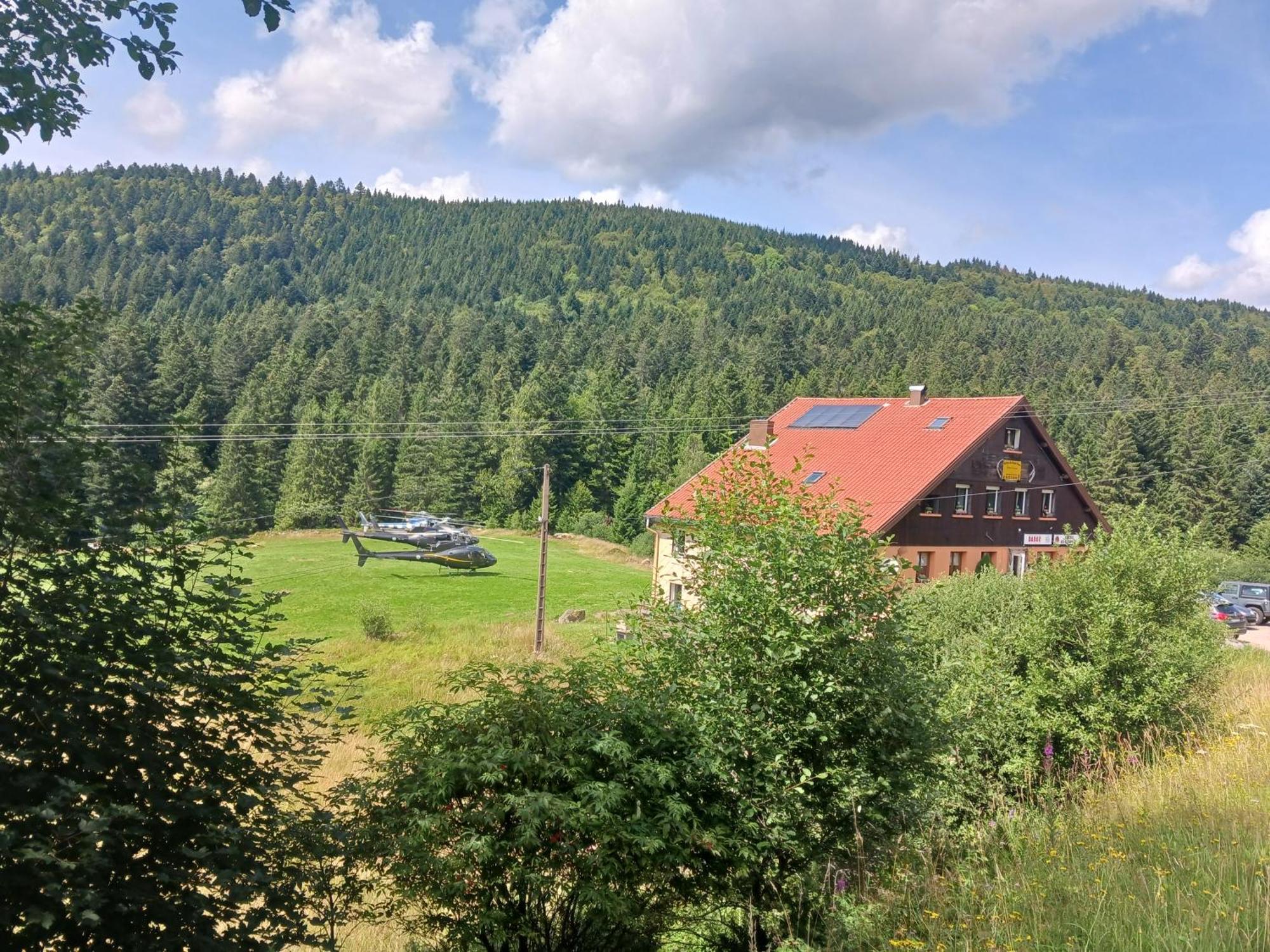 Domaine Des Hauts Viaux La Bresse Εξωτερικό φωτογραφία
