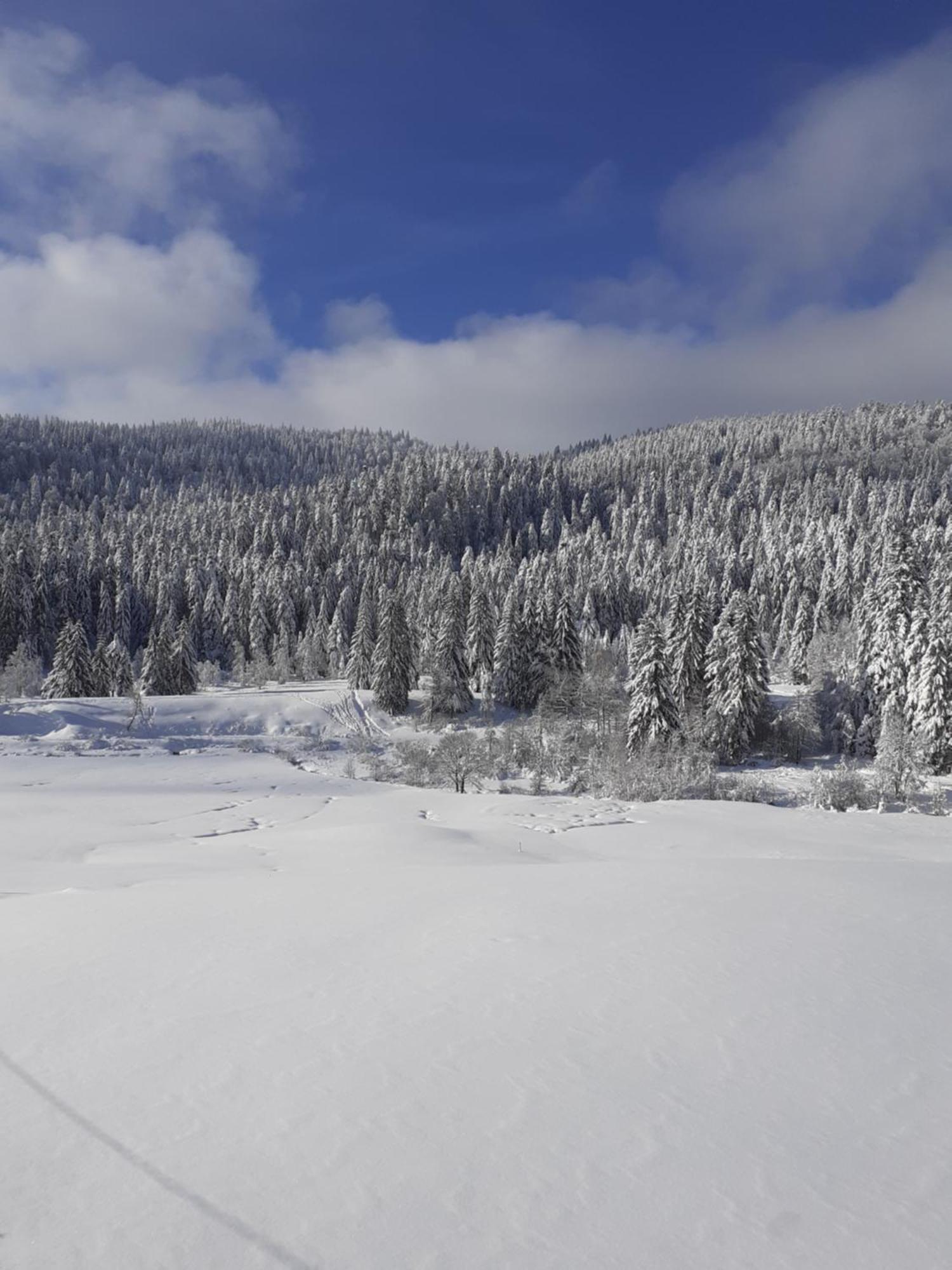 Domaine Des Hauts Viaux La Bresse Εξωτερικό φωτογραφία