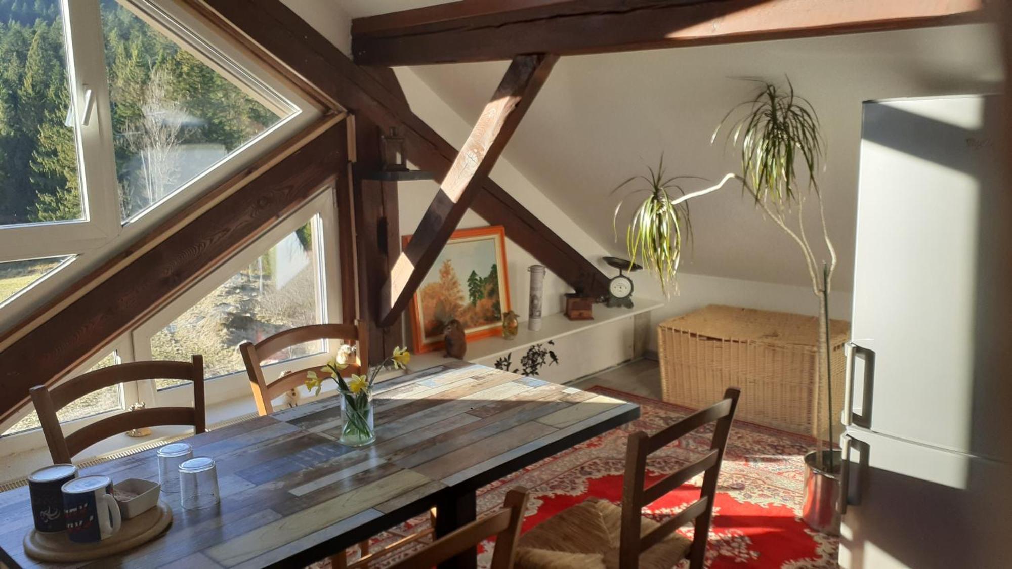 Domaine Des Hauts Viaux La Bresse Εξωτερικό φωτογραφία