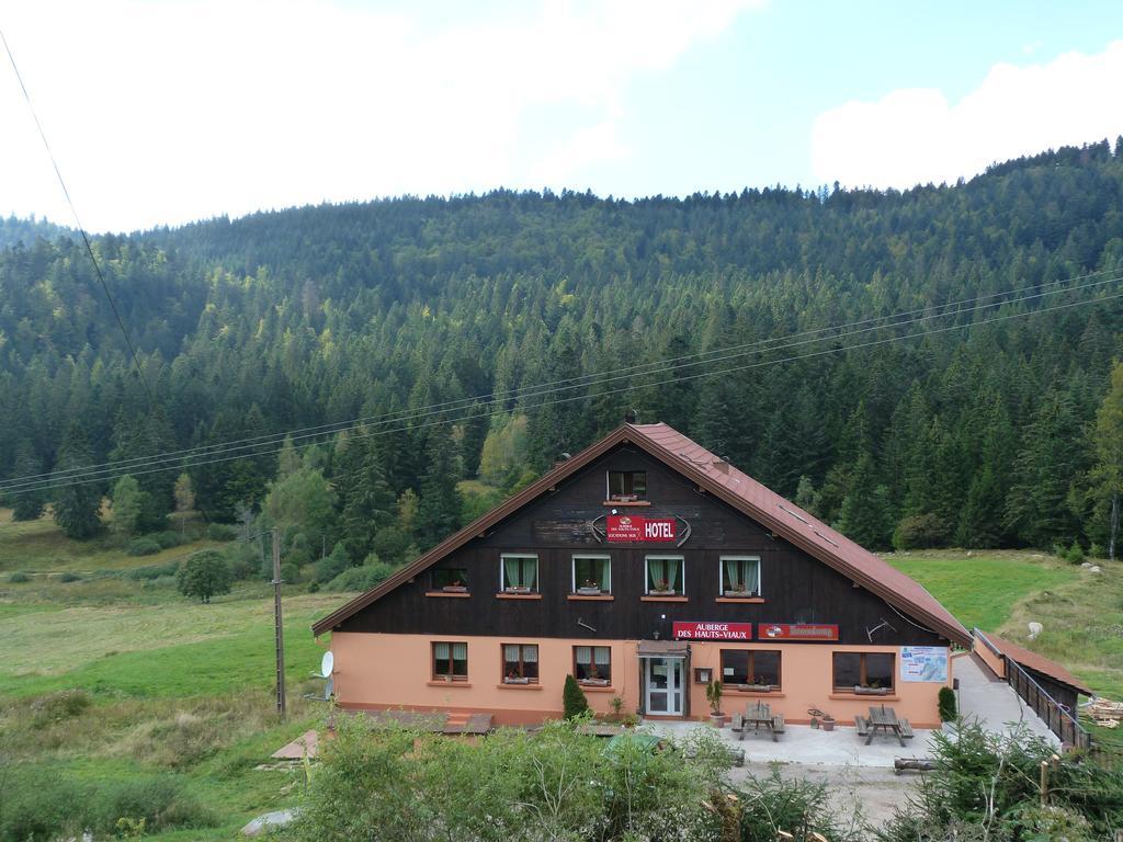 Domaine Des Hauts Viaux La Bresse Εξωτερικό φωτογραφία