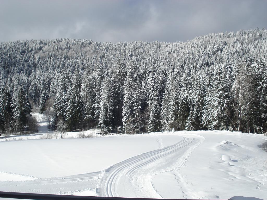 Domaine Des Hauts Viaux La Bresse Εξωτερικό φωτογραφία