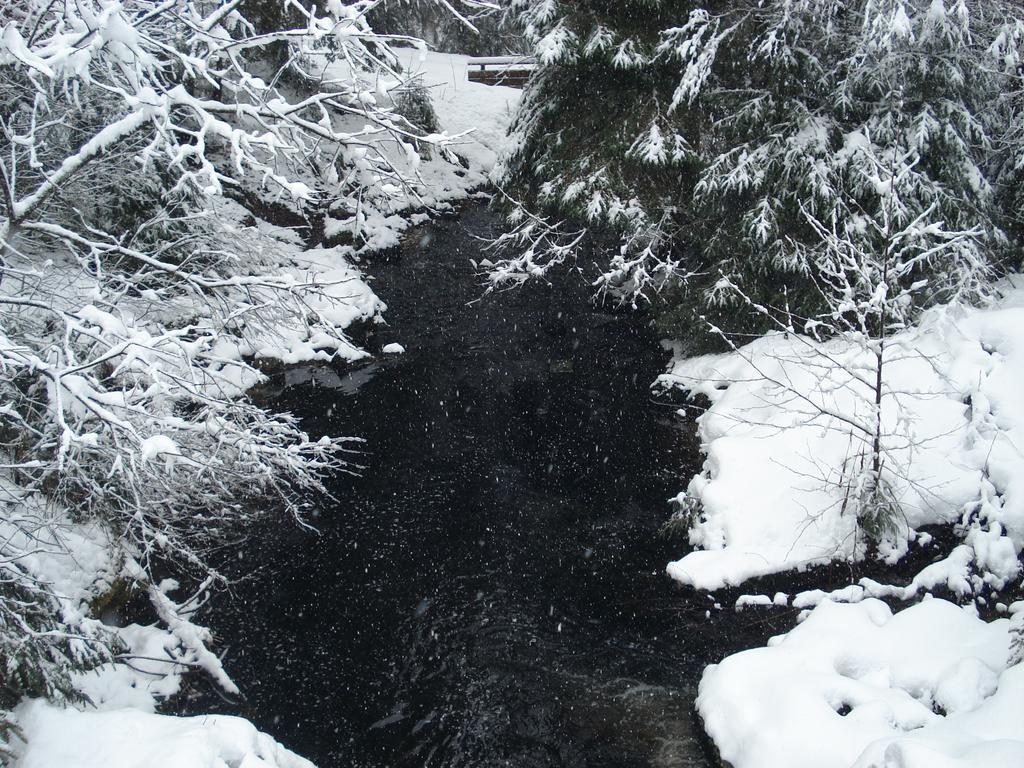 Domaine Des Hauts Viaux La Bresse Εξωτερικό φωτογραφία