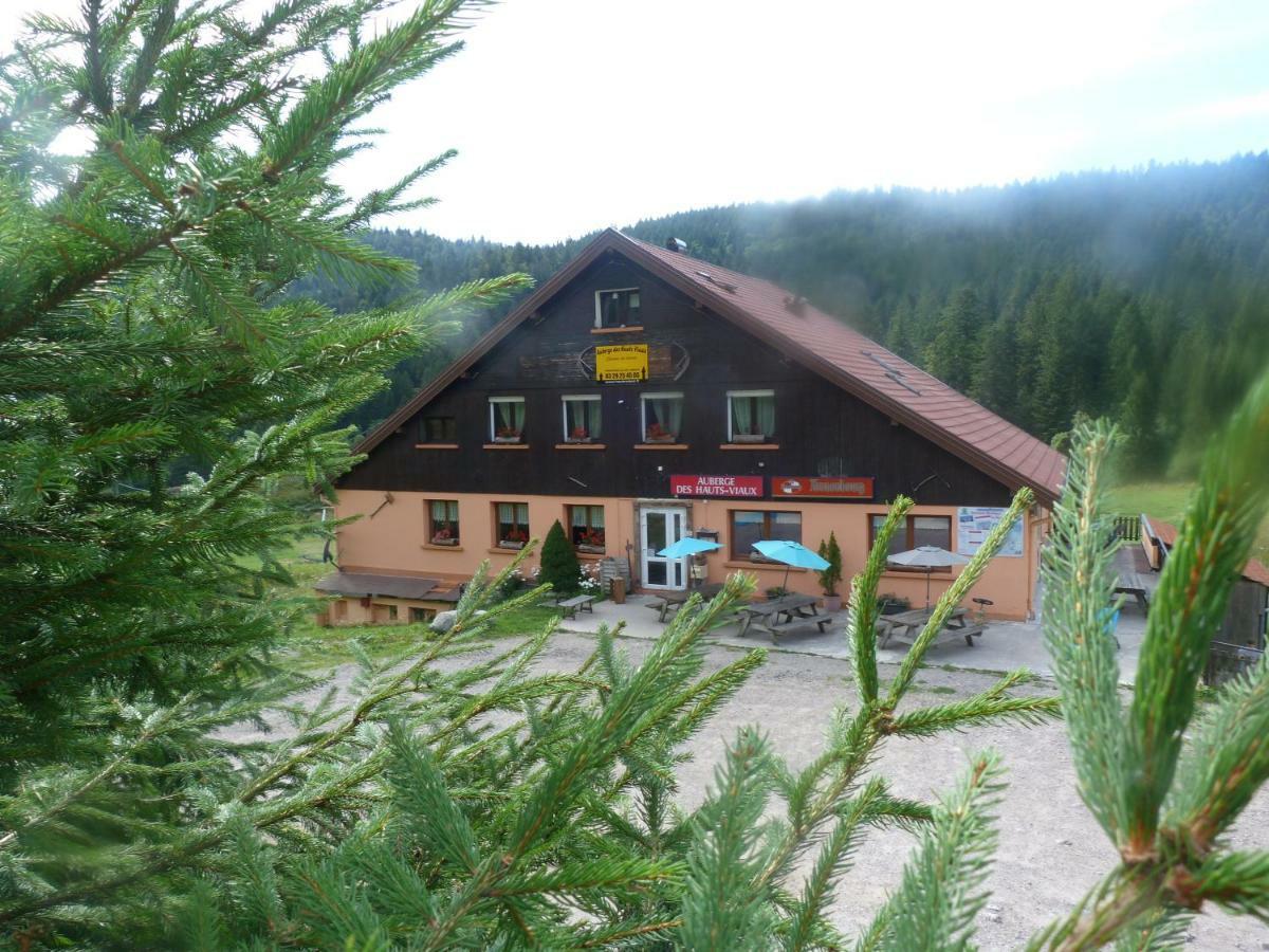 Domaine Des Hauts Viaux La Bresse Εξωτερικό φωτογραφία
