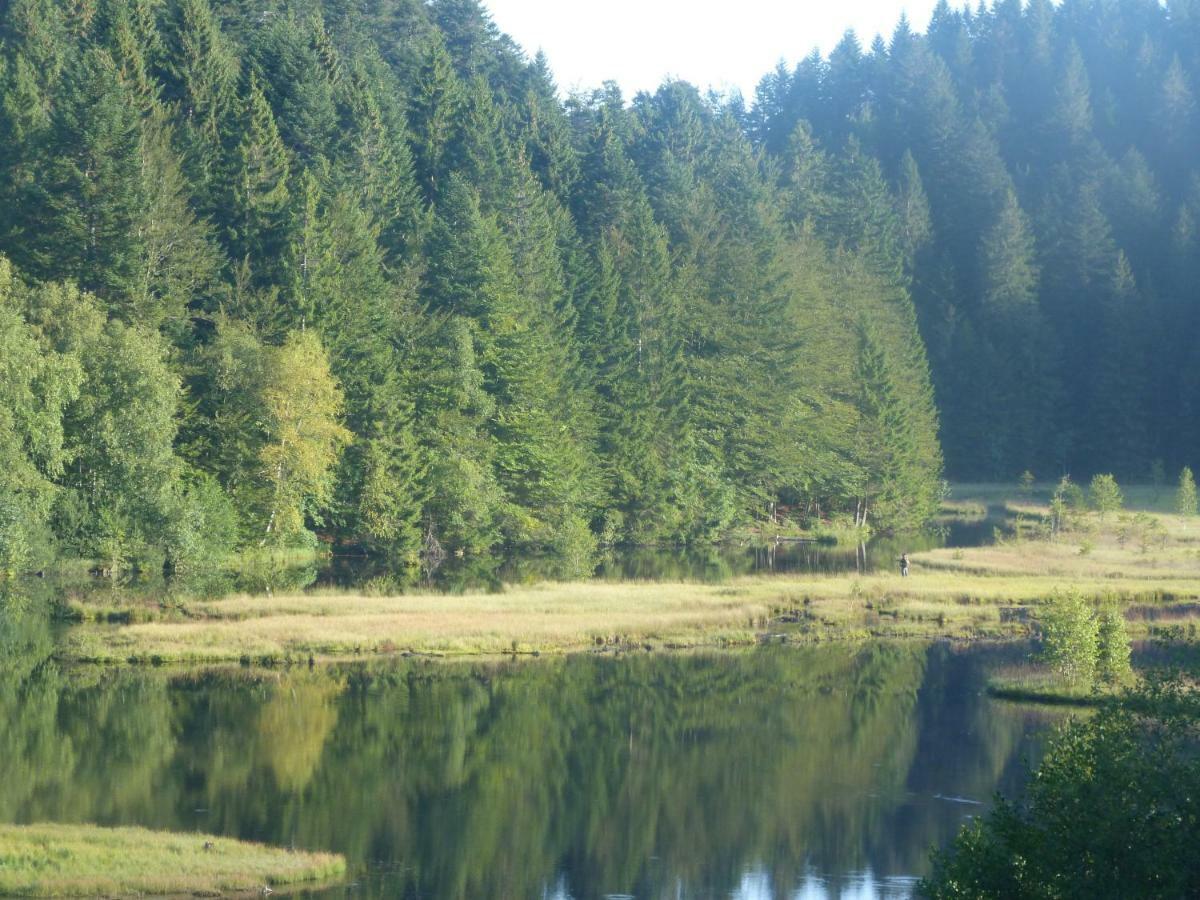 Domaine Des Hauts Viaux La Bresse Εξωτερικό φωτογραφία