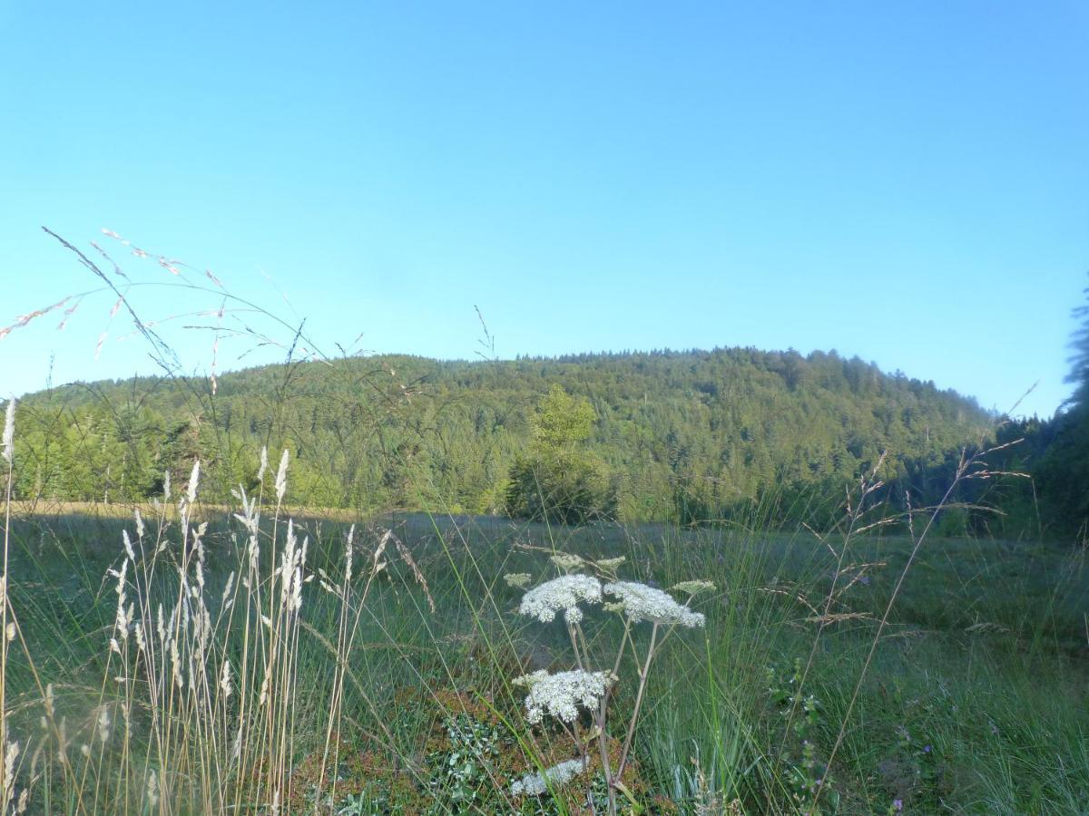 Domaine Des Hauts Viaux La Bresse Εξωτερικό φωτογραφία