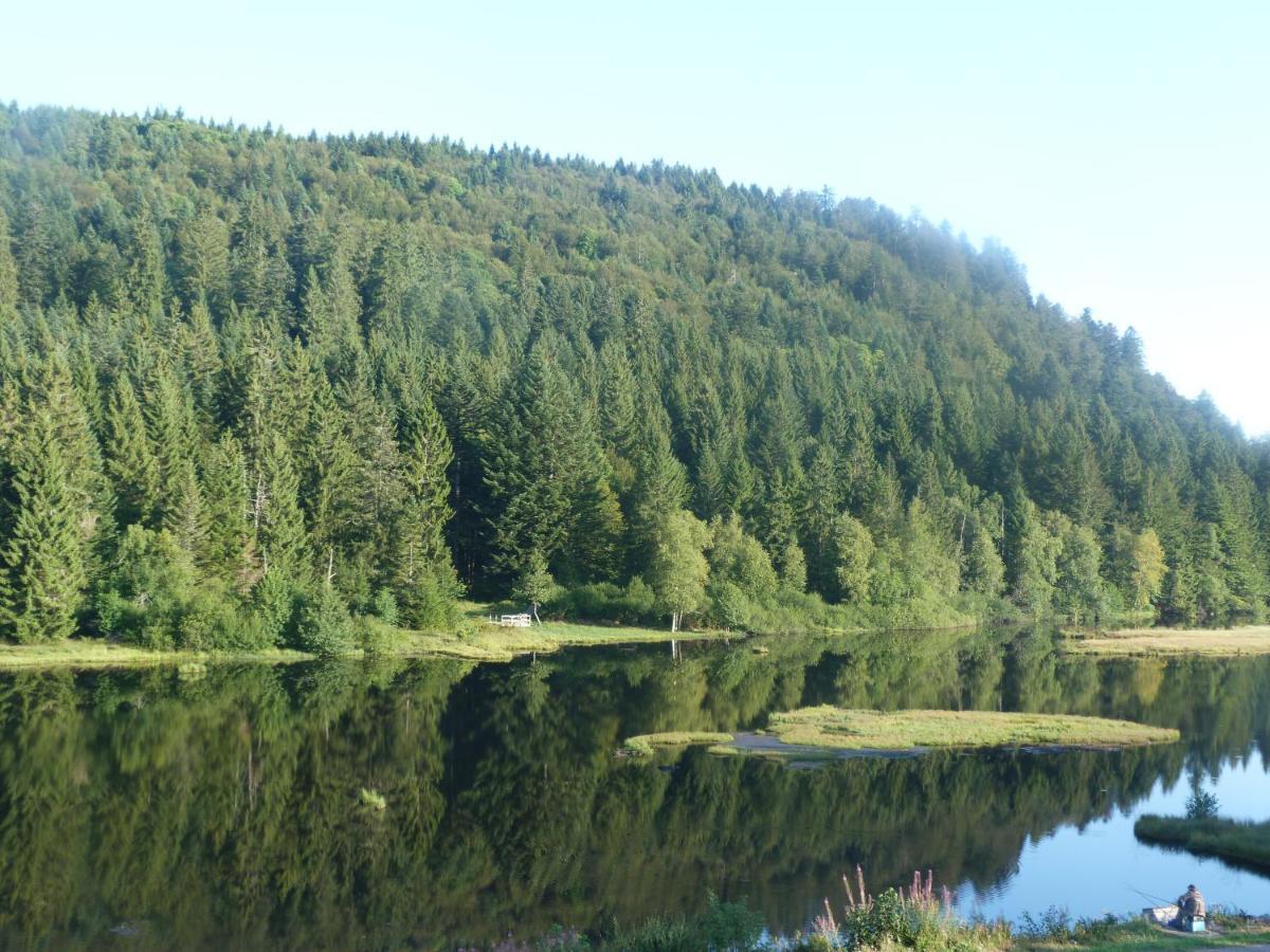 Domaine Des Hauts Viaux La Bresse Εξωτερικό φωτογραφία
